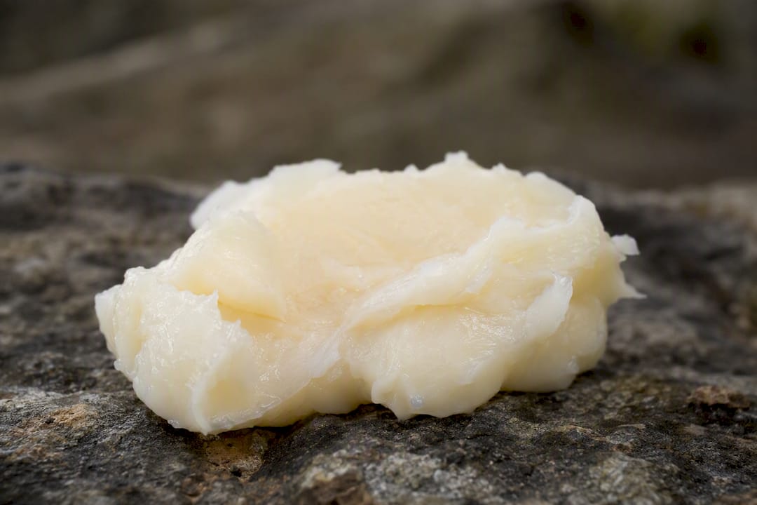 Close-up texture of grass-fed tallow
