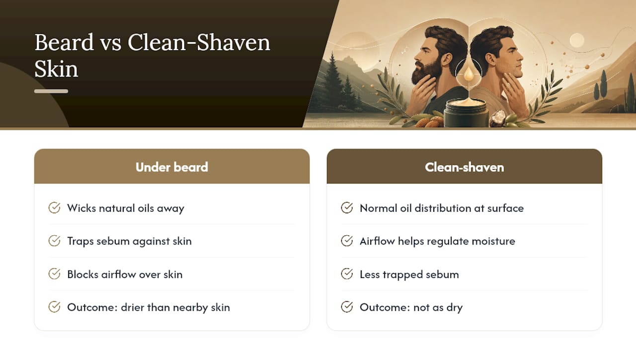 How beard hair affects skin moisture